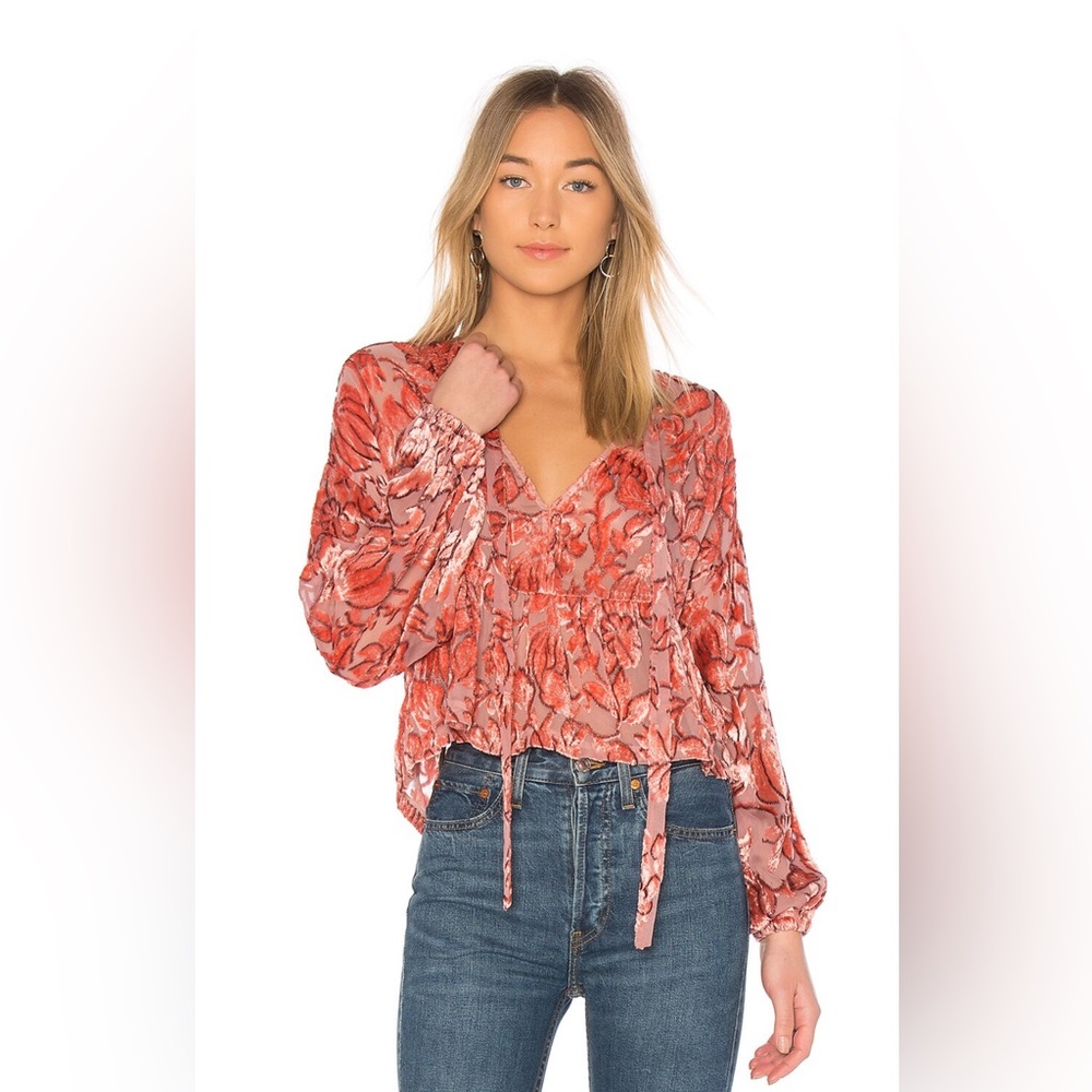 Alexis Caprina Blouse in Velvet Floral Devore - size Small